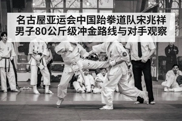 taekwondo competition