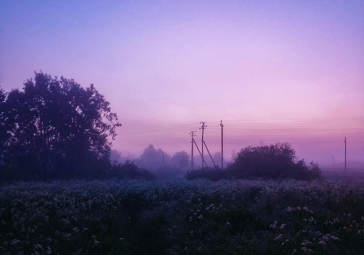 开云体育平台-沙尔克彻底乱套！技术总监下课+伊比解约+两人停训